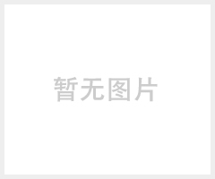 C0283QGLD-T，2.8英寸OLED，AM OLED，彩色显示屏。