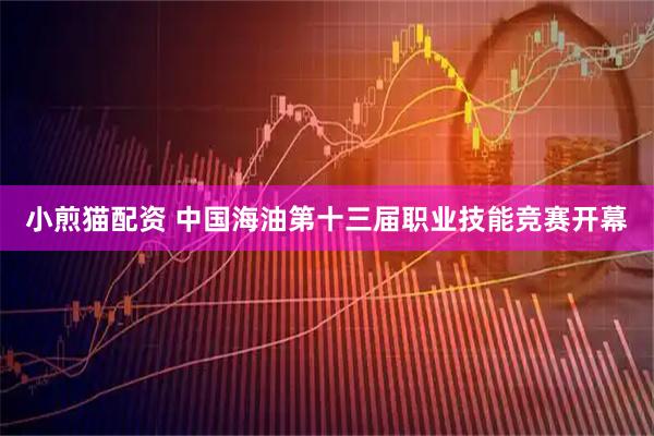 小煎猫配资 中国海油第十三届职业技能竞赛开幕