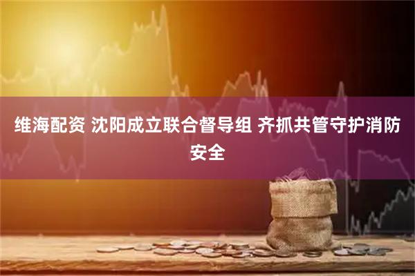 维海配资 沈阳成立联合督导组 齐抓共管守护消防安全
